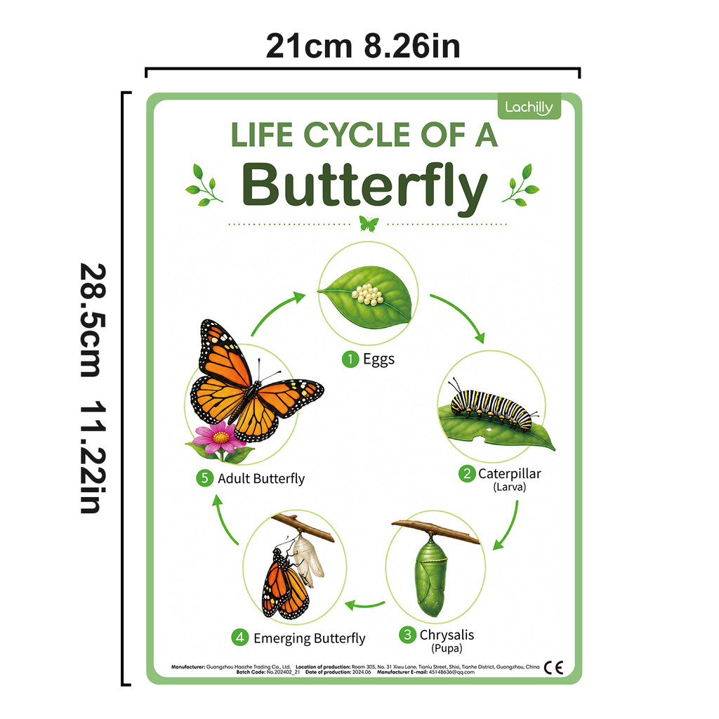 8 affiches éducatives sur le c - Kids Nature Education avis et prix