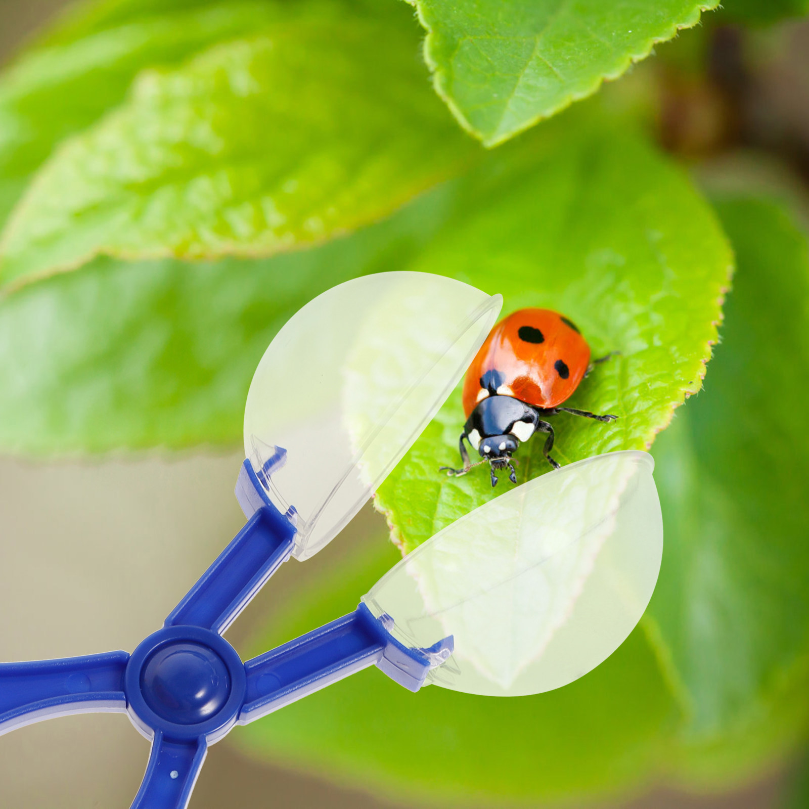 Lot de 8 pinces à insectes pou - Kids Nature Education avis et prix